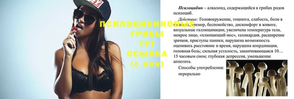 шишки Баксан