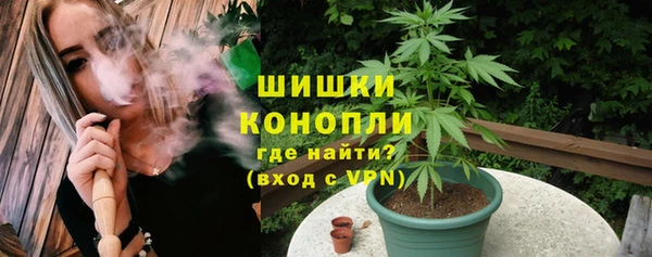 шишки Баксан